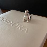 Charm Pandora WINNIPER