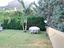 Immagine 14