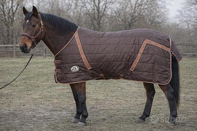 🐴 Coperta imbottita per cavallo – marca Tattini
