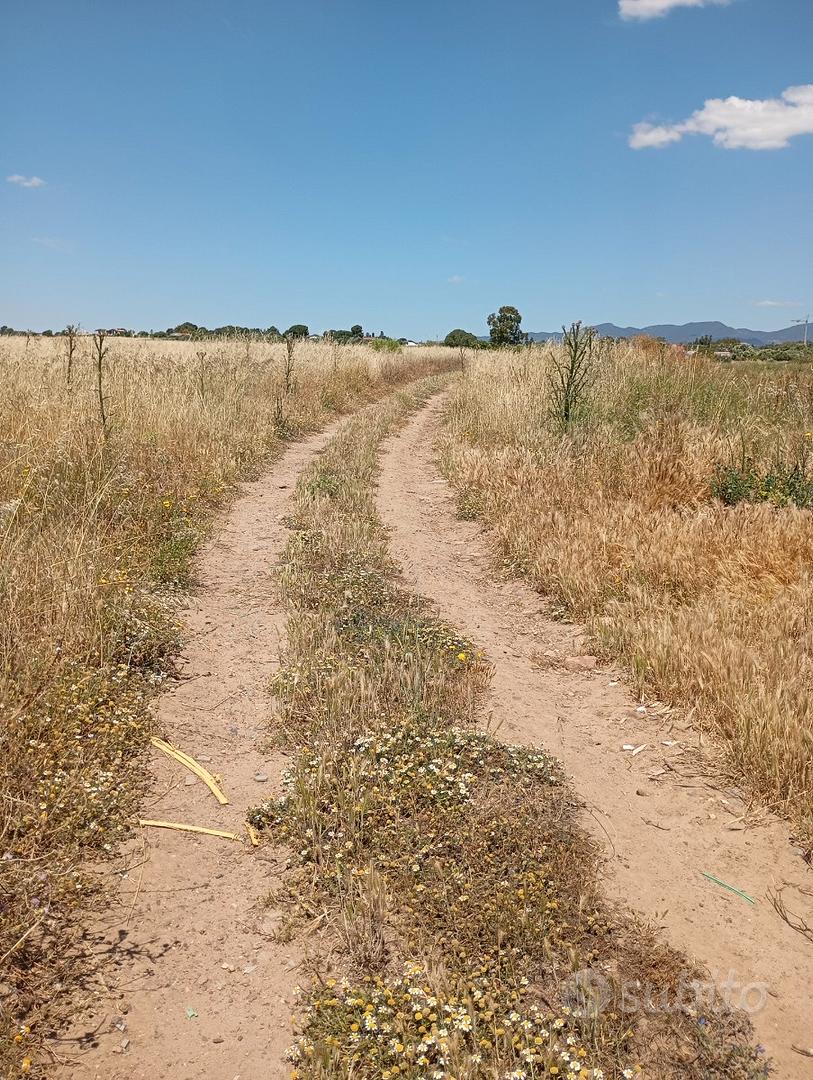 Terreno bellavista - Vista 3
