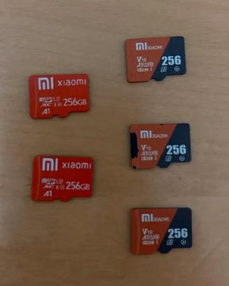 N.5 micro SD da 256 GB