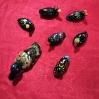 set di 7 animaletti in ceramica dipinta mano