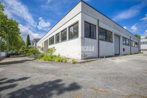 Capannone a Monte Urano Viale I Maggio