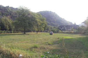 Terreno pianeggiante soleggiato