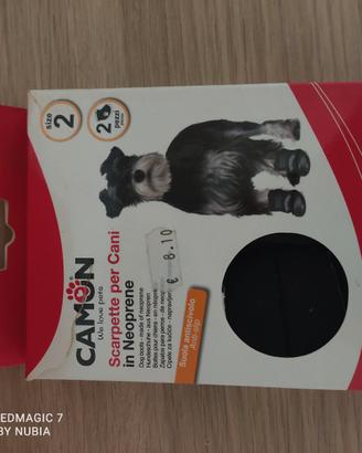 Scarpette per cani.