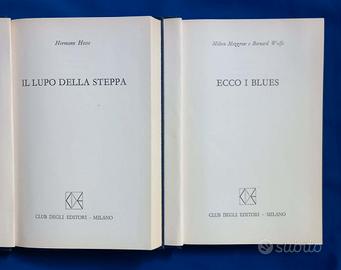 due libri di narrativa straniera