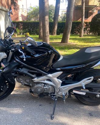 Suzuki Gladius 650 (SFV) - anno 2009 - Km 8.000