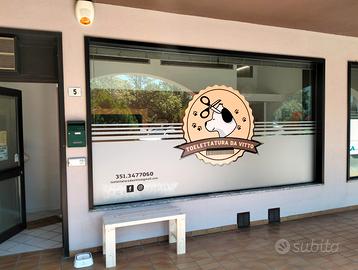 Toelettatura per cani