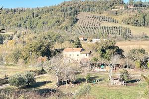 Casale/rustico con terreno a Servigliano