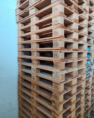 EPAL 80X120