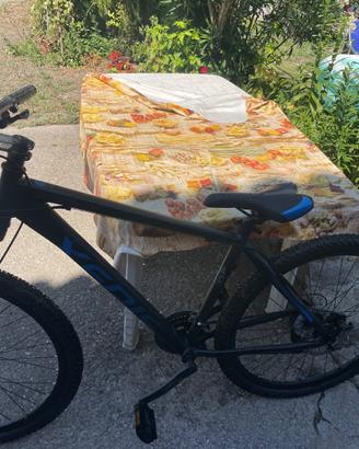 Mountain bike donna