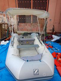 Tender Zodiac 310