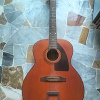 Eko Navajo 12 corde