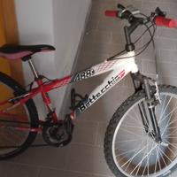 Bicicletta Bottecchia 488 ruote 24