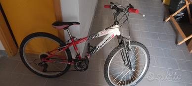 Bicicletta Bottecchia 488 ruote 24