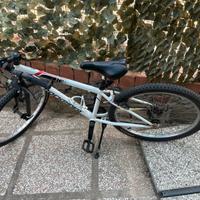 Mountainbike 24 della Rockrider
