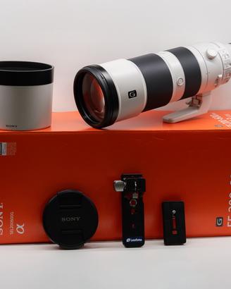 Sony FE 200-600mm f/5.6-6.3 G OSS (SEL200600G)