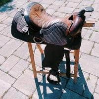 Sella Americana cavallo