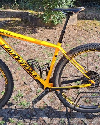 Bici mtb