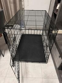 Kennel