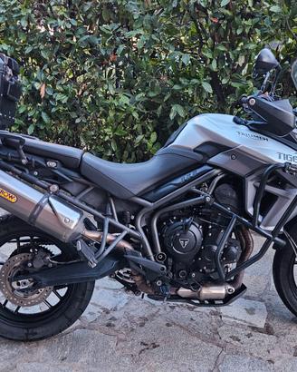 Tiger 800XR