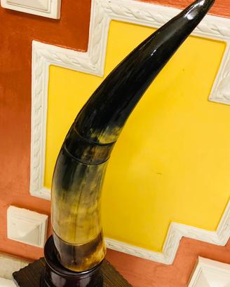 Per Arredo antiquario unico