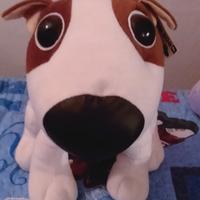 peluche cane occhioni