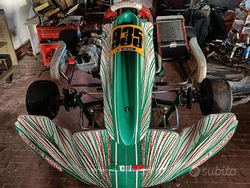 Tony kart 801rr TM kz10c alfano
