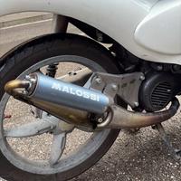 marmitta malossi minarelli