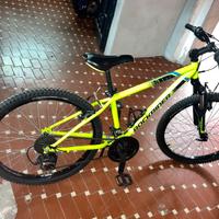 Bicicletta misura 24