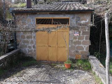 CANTINA e orto in Maremma