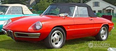 Parabrezza Alfa Giulia 1600/Duetto Spider Coupè