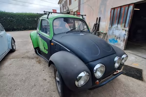 maggiolino custom baja