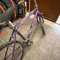 Bici da passeggio