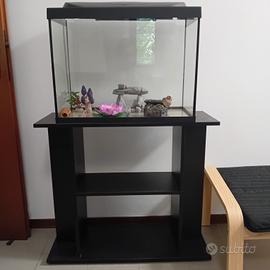 aquario 80 L