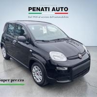 FIAT Panda 1.0 FireFly 70cv S&S Hybrid