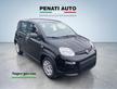 FIAT Panda 1.0 FireFly 70cv S&S Hybrid