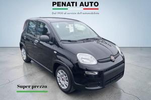 FIAT Panda 1.0 FireFly 70cv S&S Hybrid