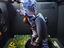 Immagine 2