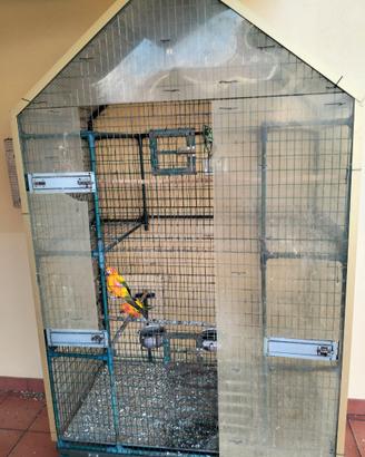 Pappagalli Conuri del sole , con voliera