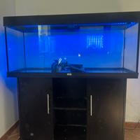 Acquario juwel Rio 240 con mobile base originale