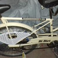 Bi bici