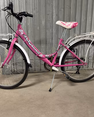 Bicicletta