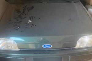Ford fiesta ghia ASI