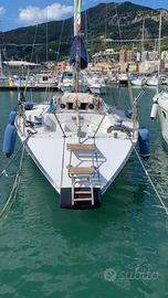 Barca a vela duck 31