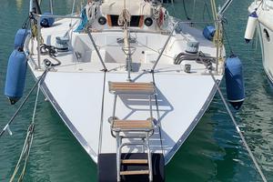 Barca a vela duck 31