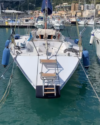 Barca a vela duck 31