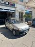 fiat-seicento-900i-cat-young