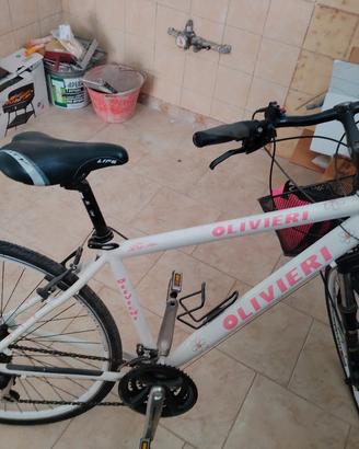 bicicletta donna