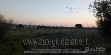 Terreno Agricolo Campiglia Marittima [A4344628]